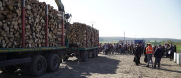 Noi transporturi cu lemne de fag pentru sinistraţi