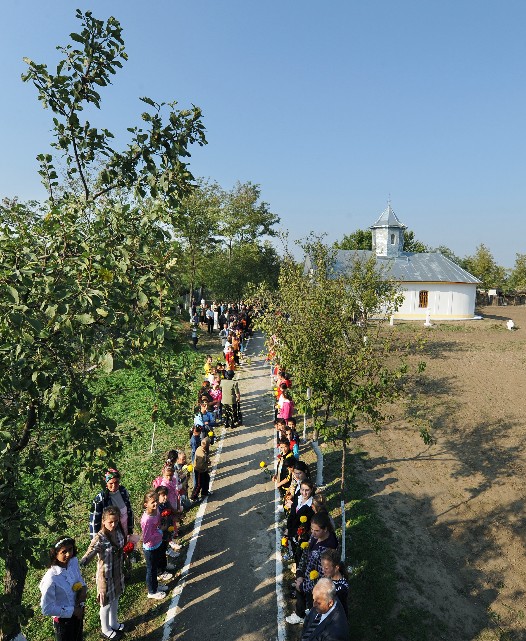 dsc 1239