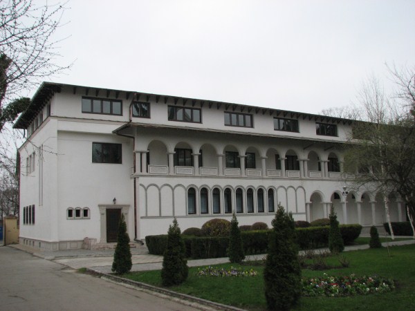 IMG 9784