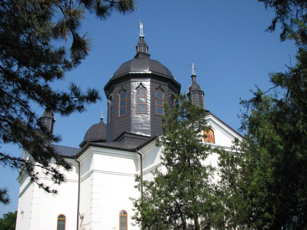 IMG 0290