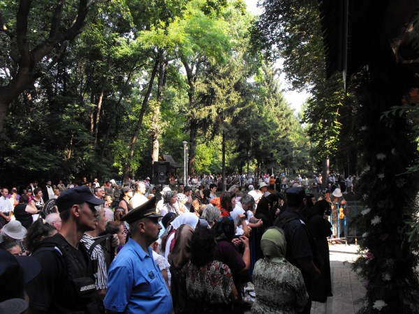 Pantelimon Braila 035