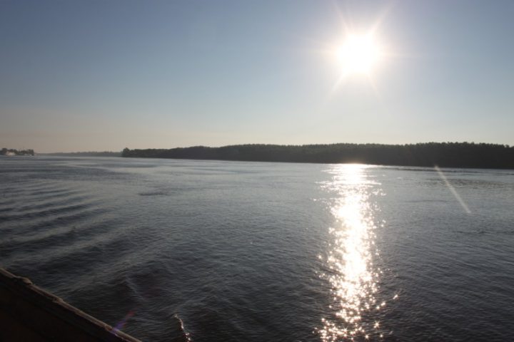 IMG 7351