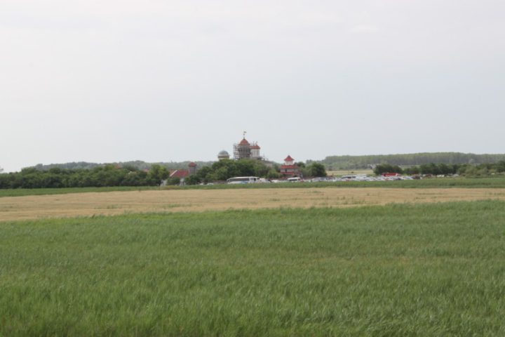 IMG 7951