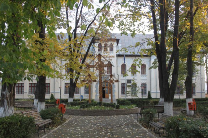 IMG 4556