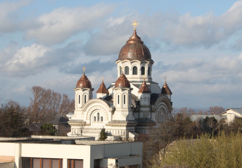 IMG 4554