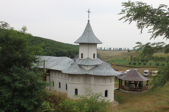 IMG 1600