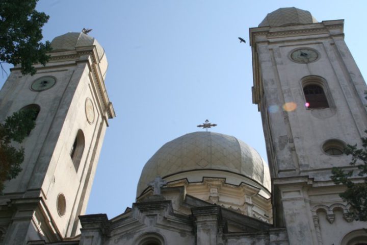 IMG 3563