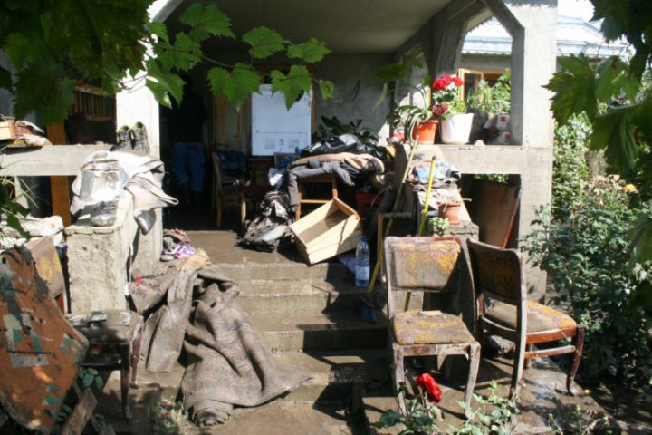 IMG 3629
