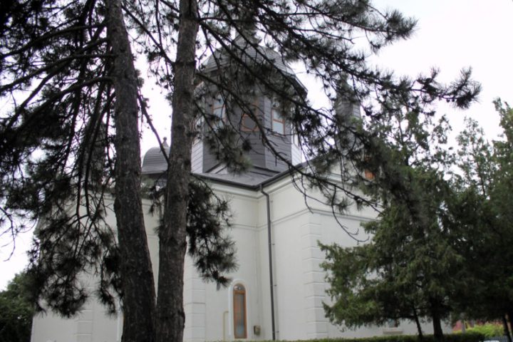 IMG 1694