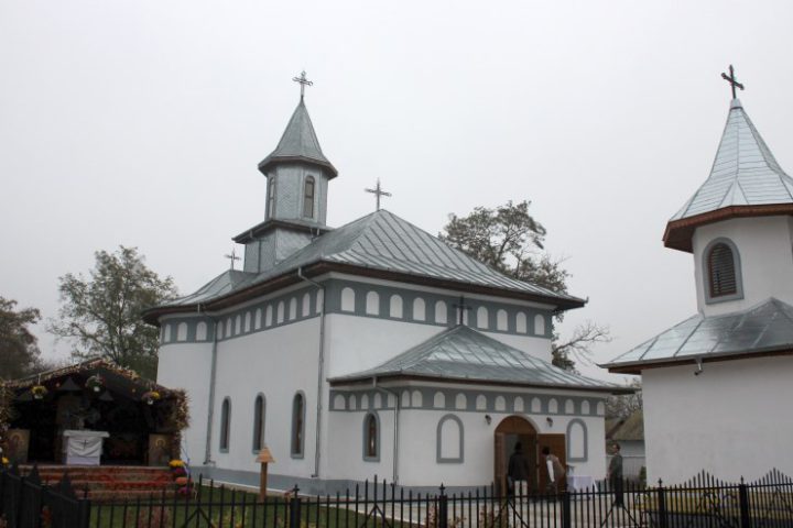 IMG 4835
