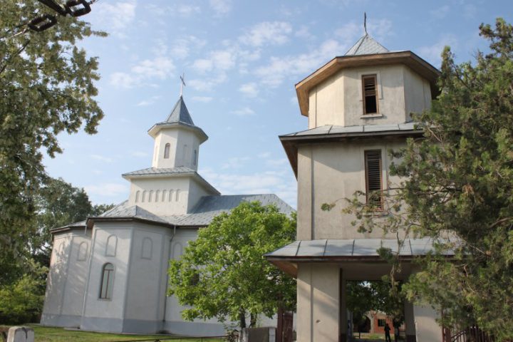 IMG 4790