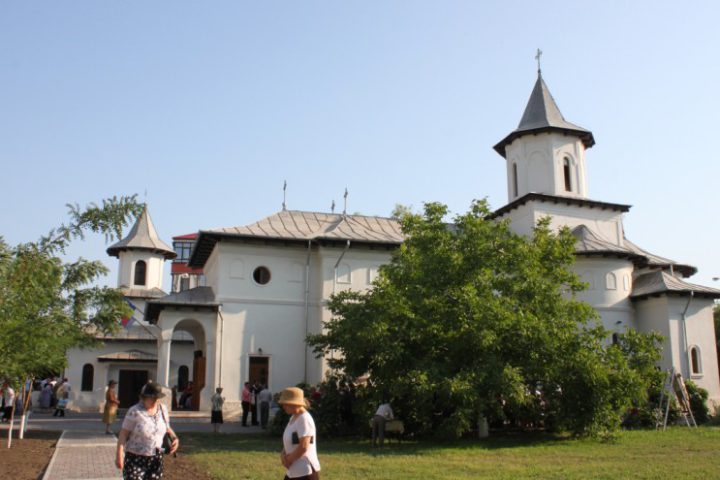 IMG 7680