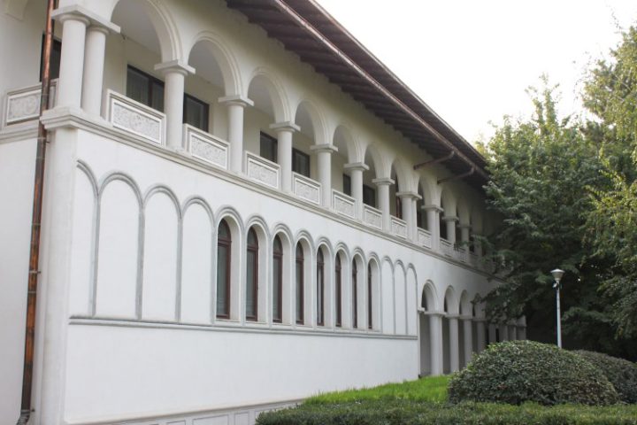 IMG 0252