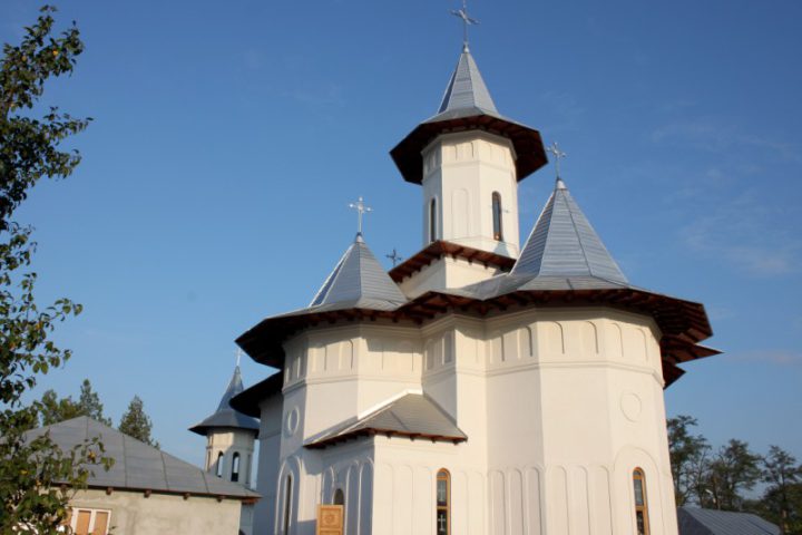 IMG 9528