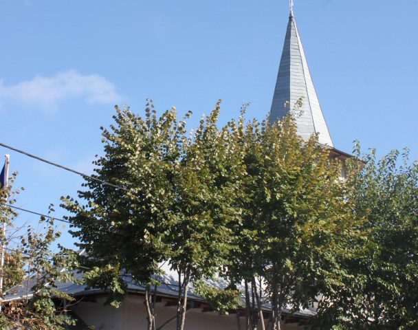 IMG 0924