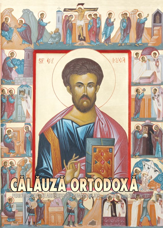 Calauza 331