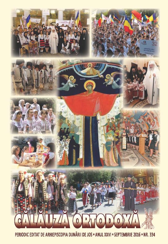 Calauza 334