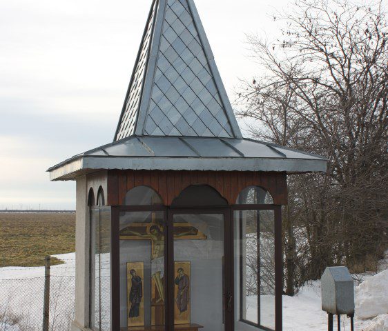 IMG 7690