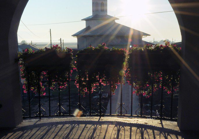 DSC 0005a