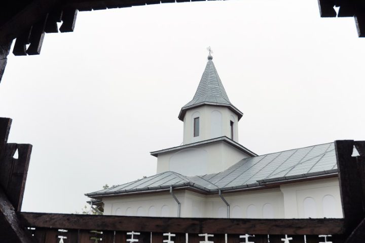 DSC 0006