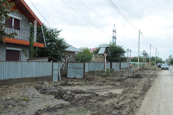 DSC 0113
