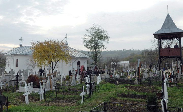 DSC 0009
