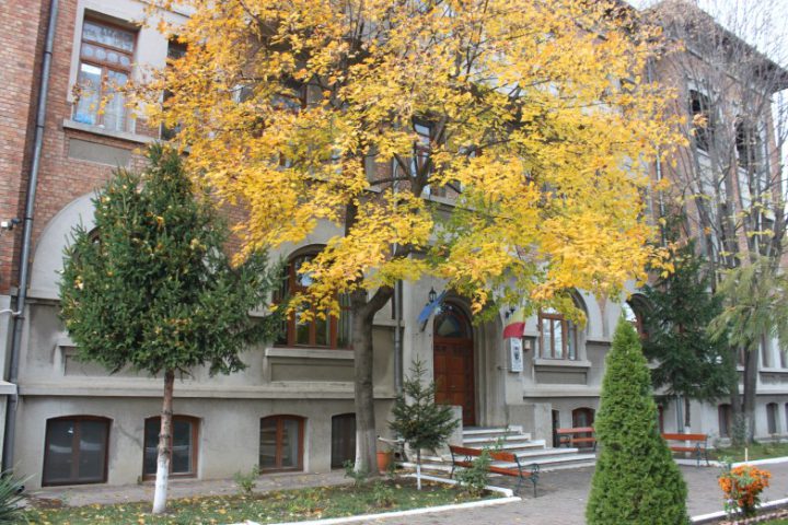 IMG 4812