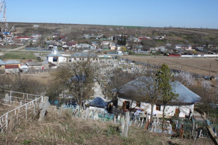 IMG 1671