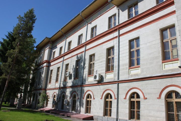 IMG 3043