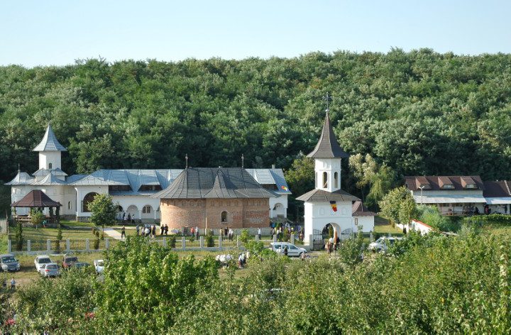 DSC 0009