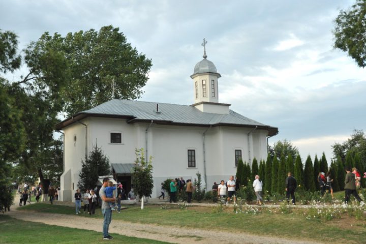 DSC 0010