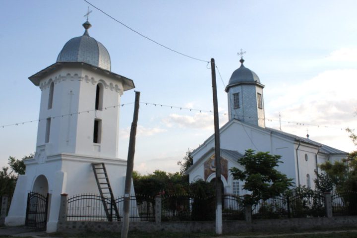 IMG 5524