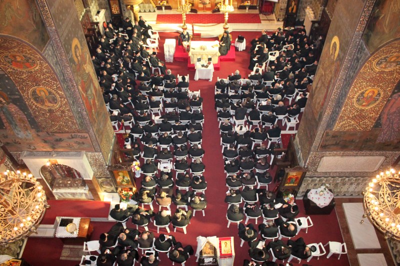 IMG 7742