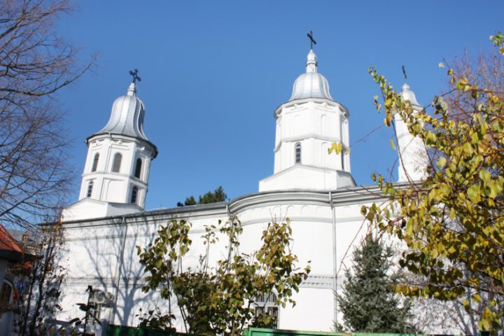 IMG 7835