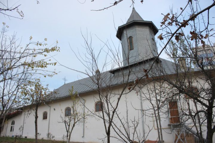 IMG 8731
