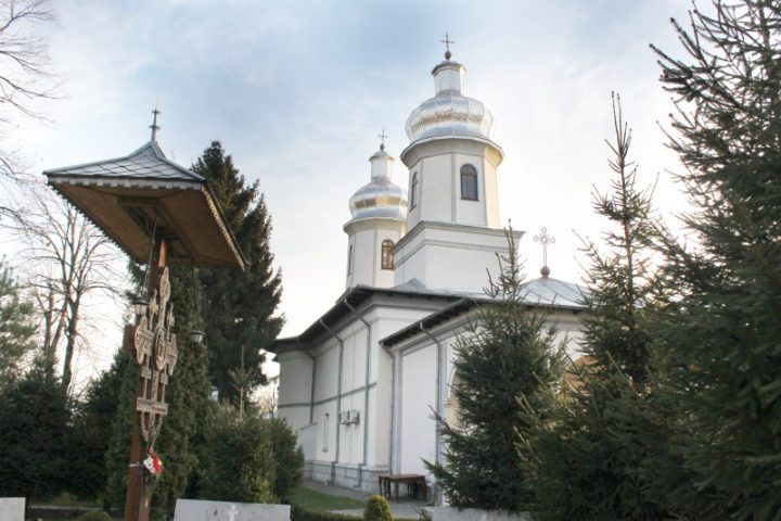 IMG 8819