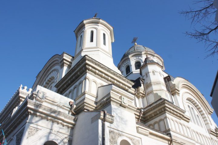 IMG 0261