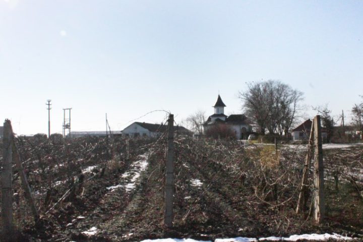 IMG 0544