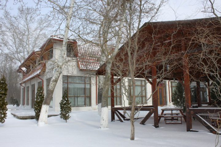 IMG 0895