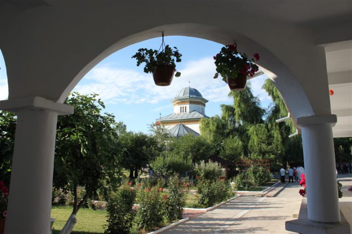 IMG 2555