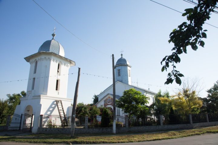 IMG 7388