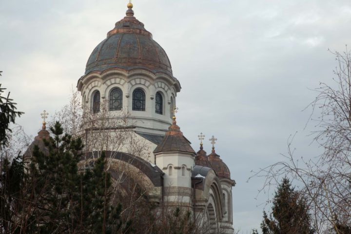 IMG 4778