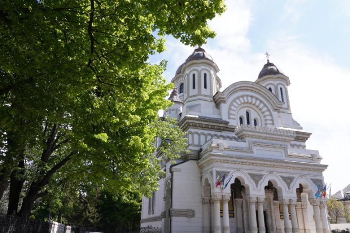 DSC06004