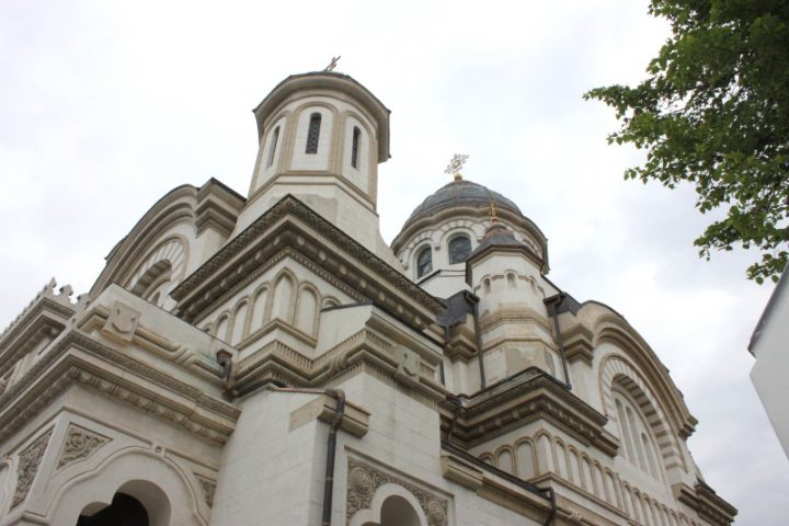 IMG 7556