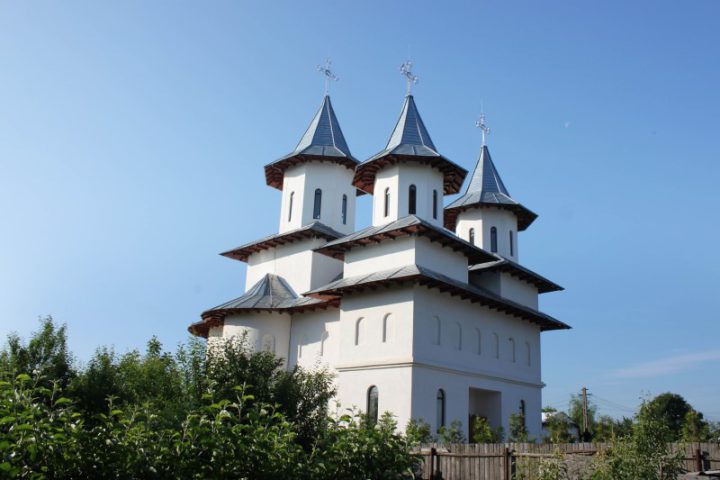 IMG 7771