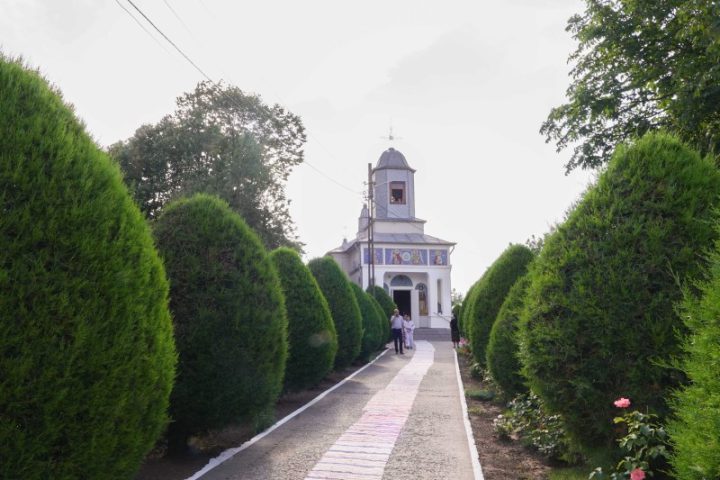 DSC00523