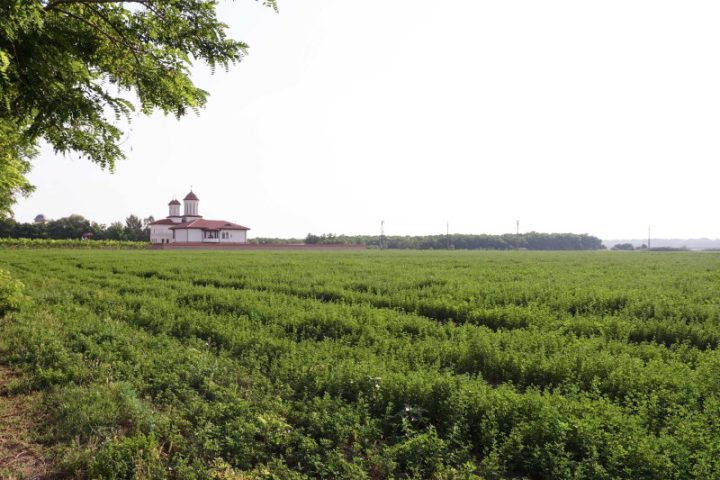 DSC00958