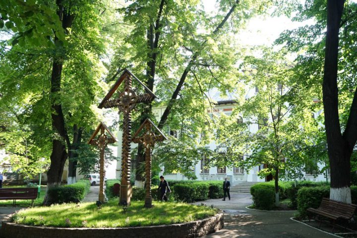DSC09550