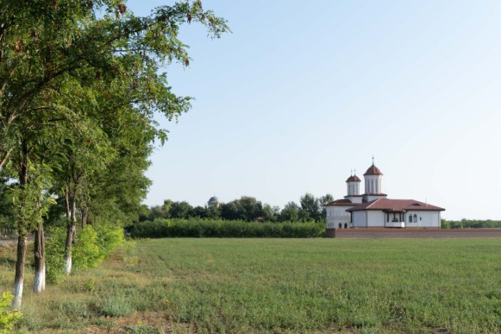 DSC04254