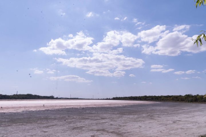 XDQ00470